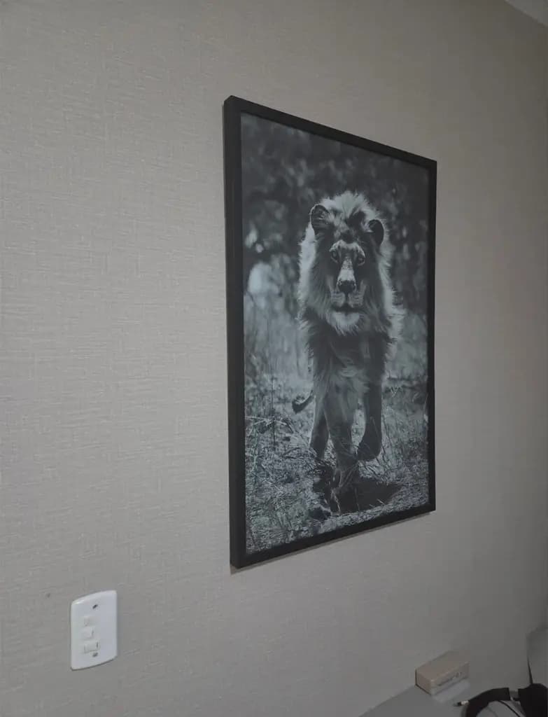 Projeto de Marcos Vinicius